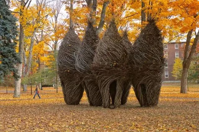 森林幻想家 | Patrick Dougherty 的树枝艺术-38