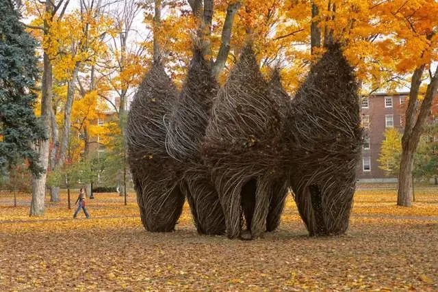 森林幻想家 | Patrick Dougherty 的树枝艺术-38