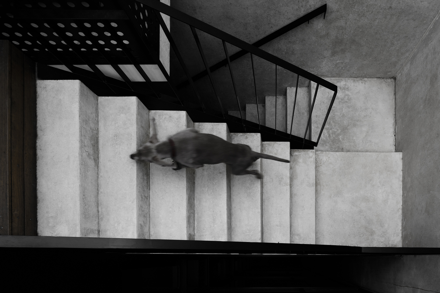 墨尔本最小 basement 设计,挑战传统生活-54