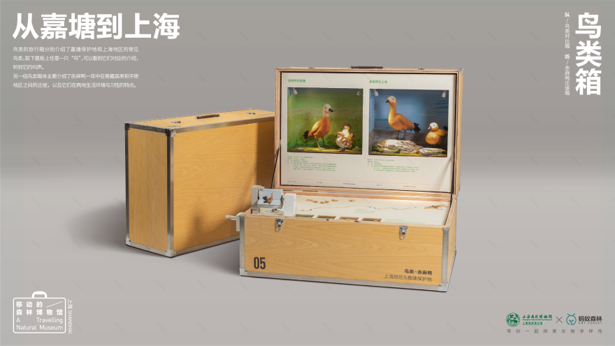 移动的森林博物馆丨中国上海丨蚂蚁森林 x 不是美术馆-8