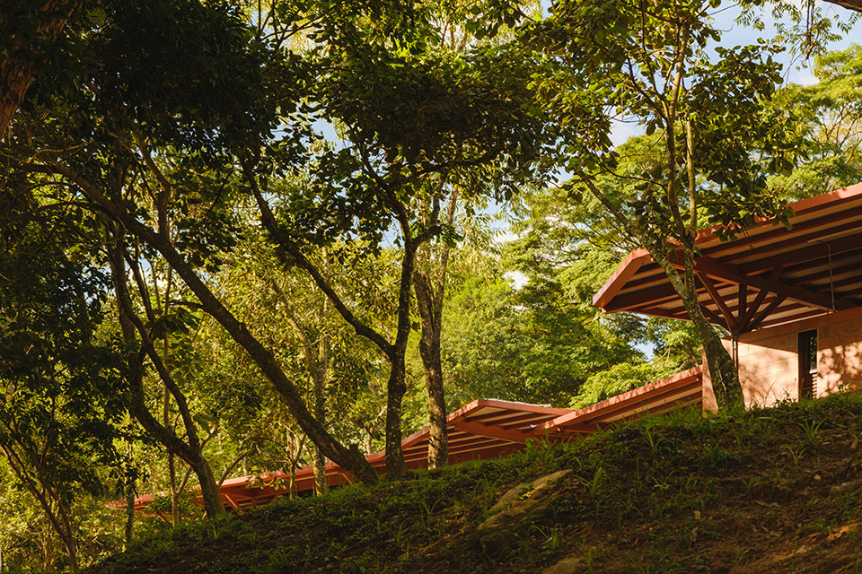 Córrego do Bispo带状公园（主教溪线性公园）丨巴西圣保罗丨Natureza Urbana事务所-58