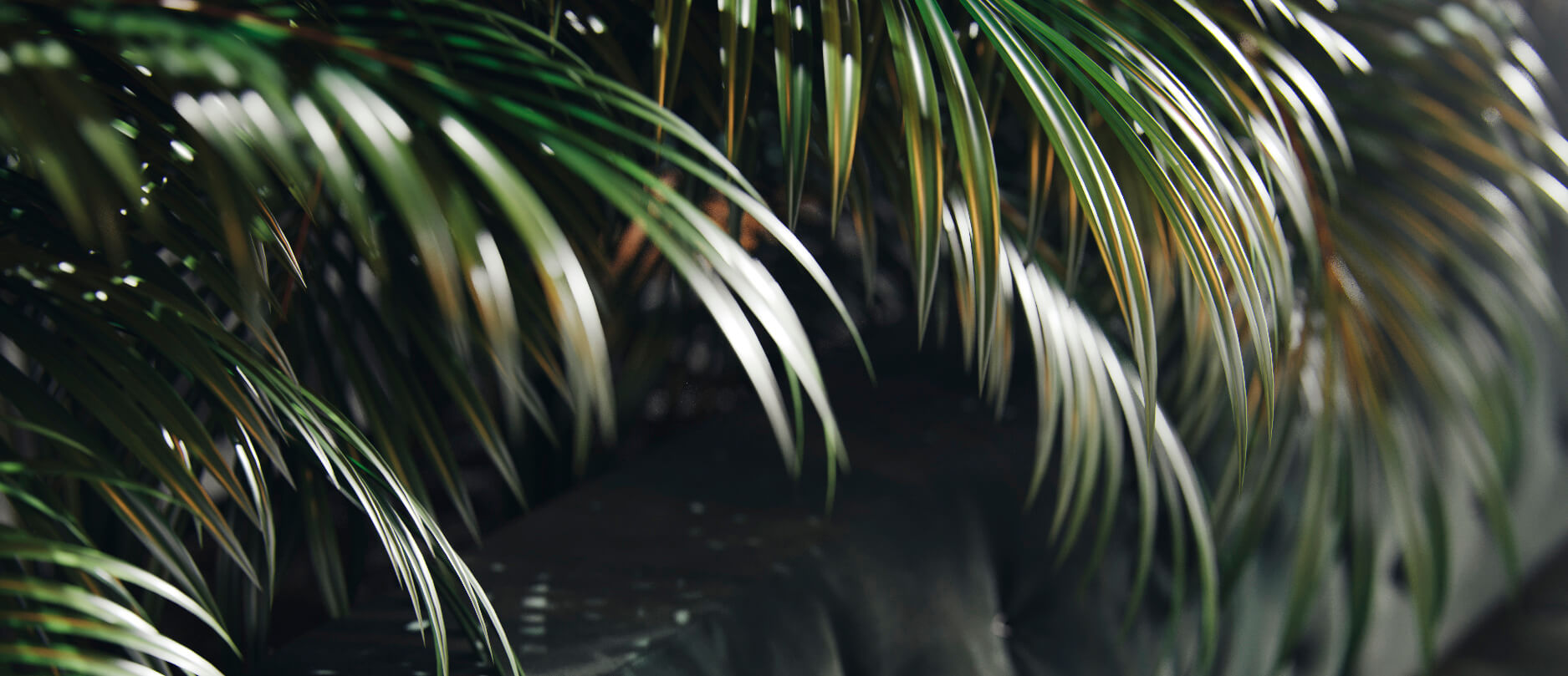 Madrid 复古奢华办公空间-6