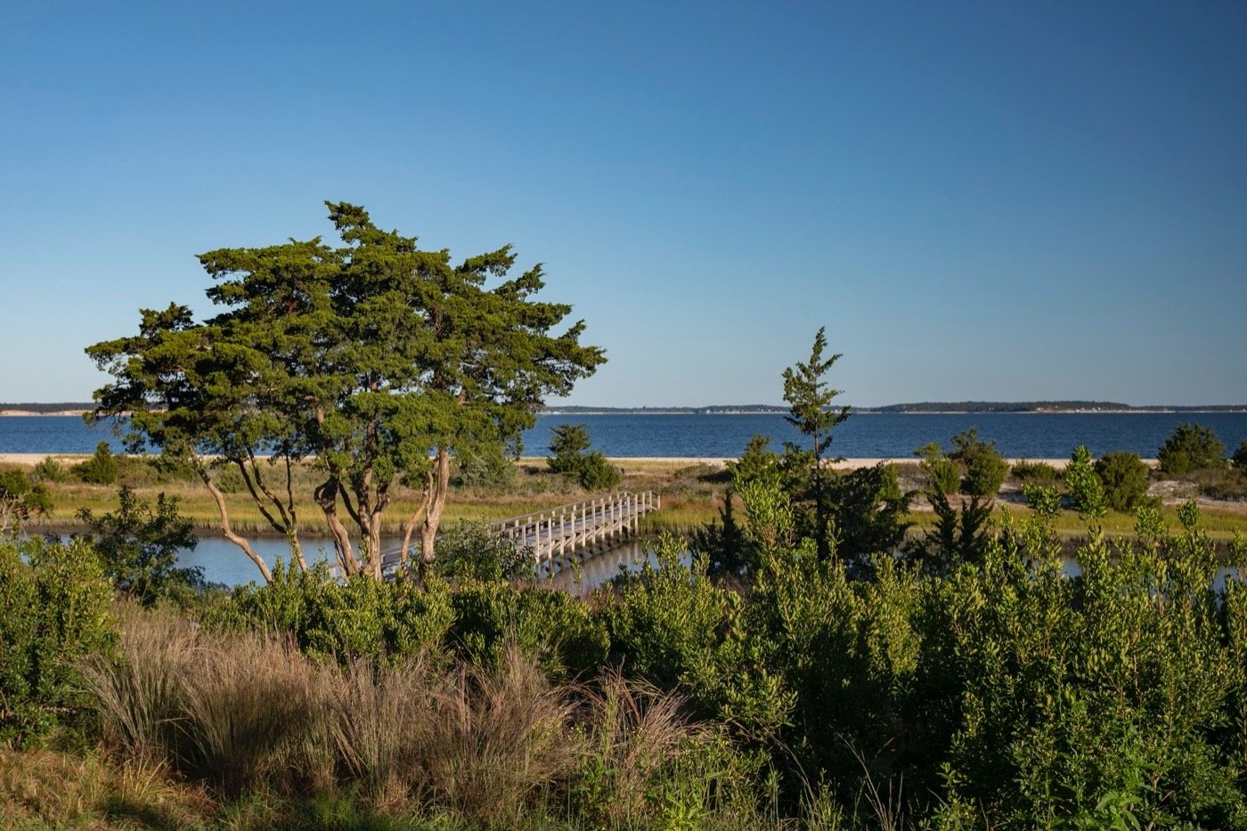 美国佩科尼克湾的 8 英亩地块景观-19