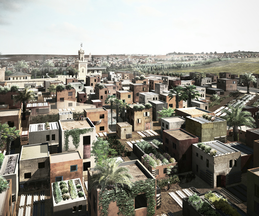 卡萨布兰卡都市农业丨摩洛哥卡萨布兰卡-8