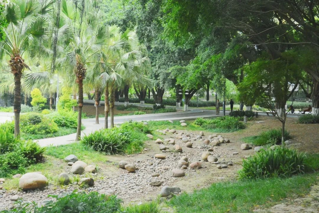 武侯丽都运动公园“微更新”改造丨市建筑院设计五院-27