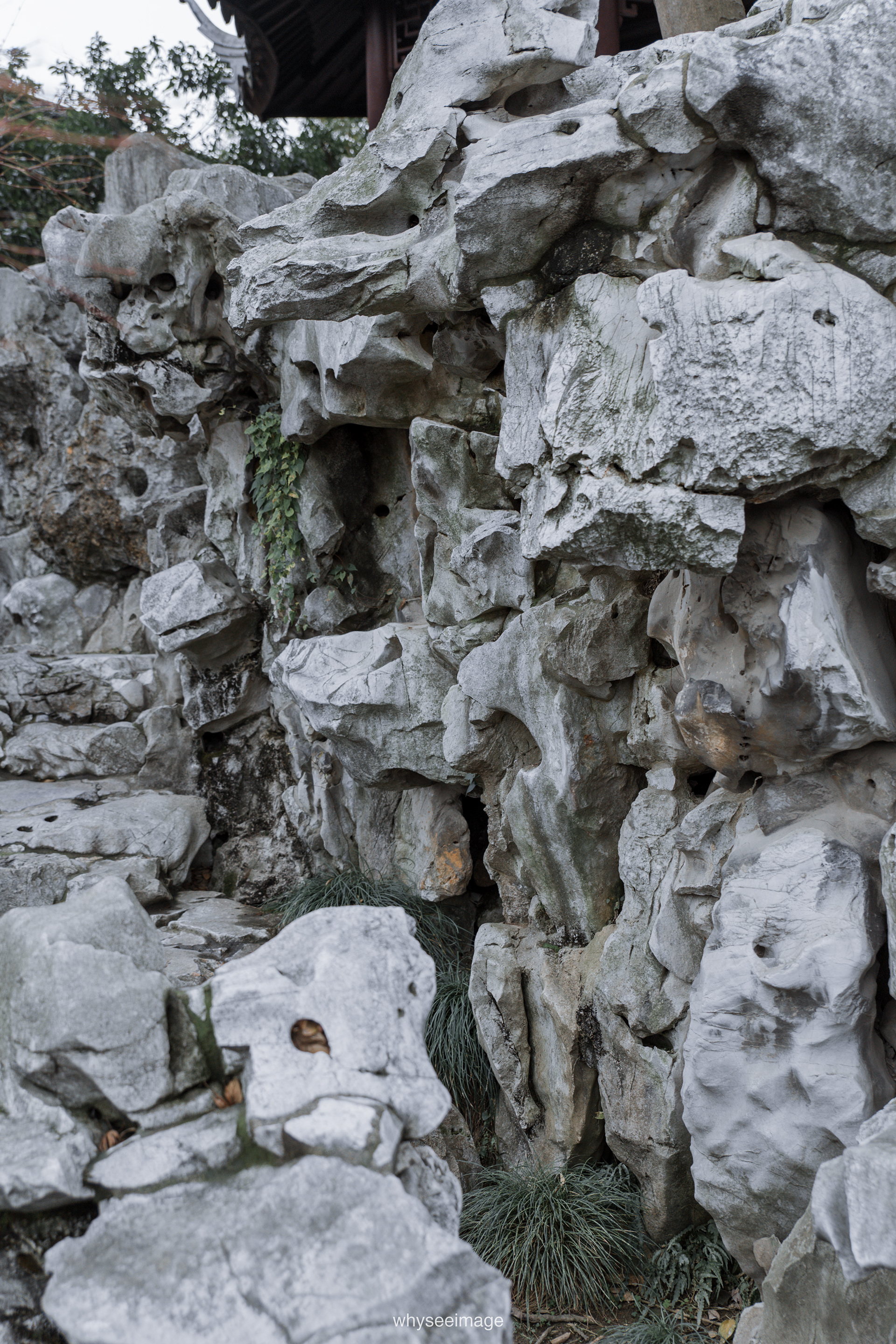 艺圃 Garden of Cultivation丨中国苏州丨whyseeimage-75