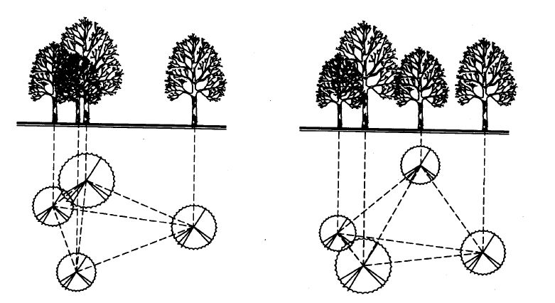 园林景观植物绿化设计方法解析-28