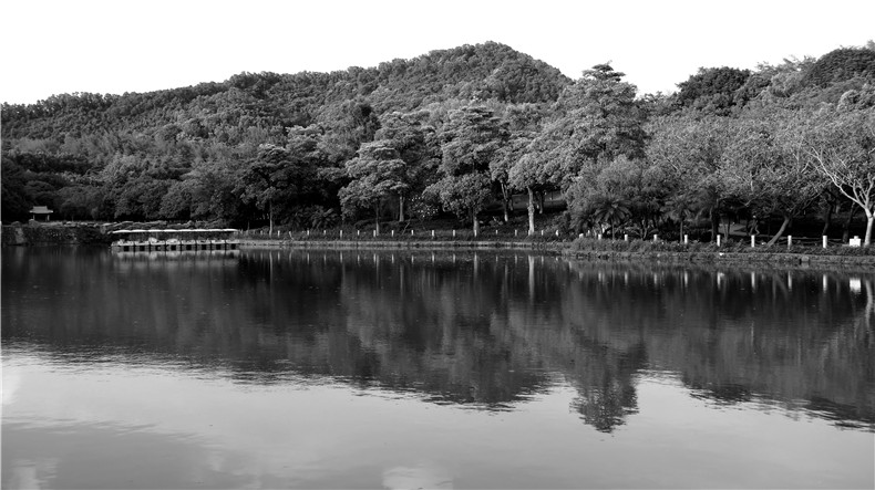 益力矿泉水厂更新策略研究丨中国深圳丨有方-34