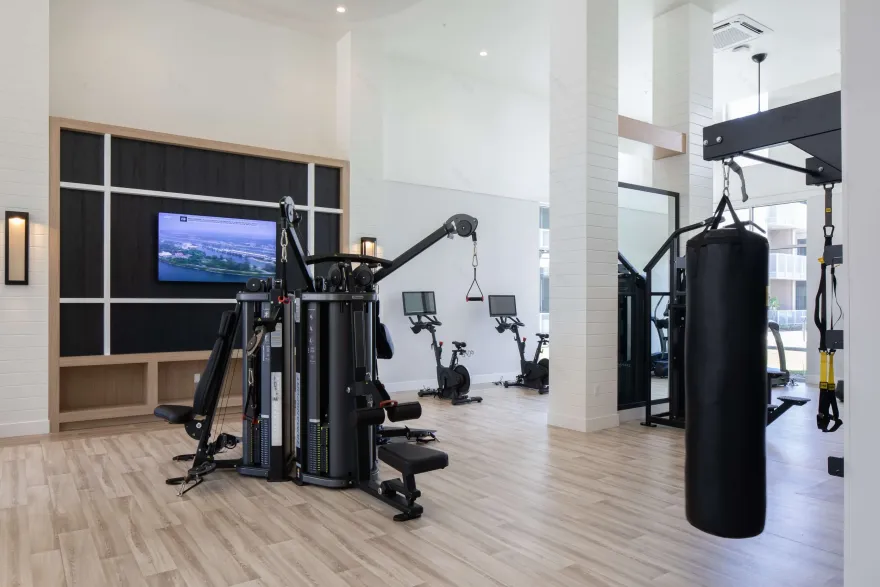 丨美国加利福尼亚-41