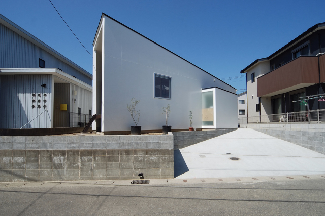 丨日本丨有限会社COGITE-32