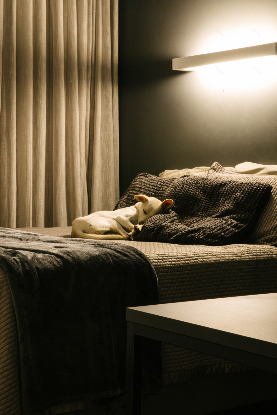 WJ 之家丨Liga Arquitetura e Urbanismo-55