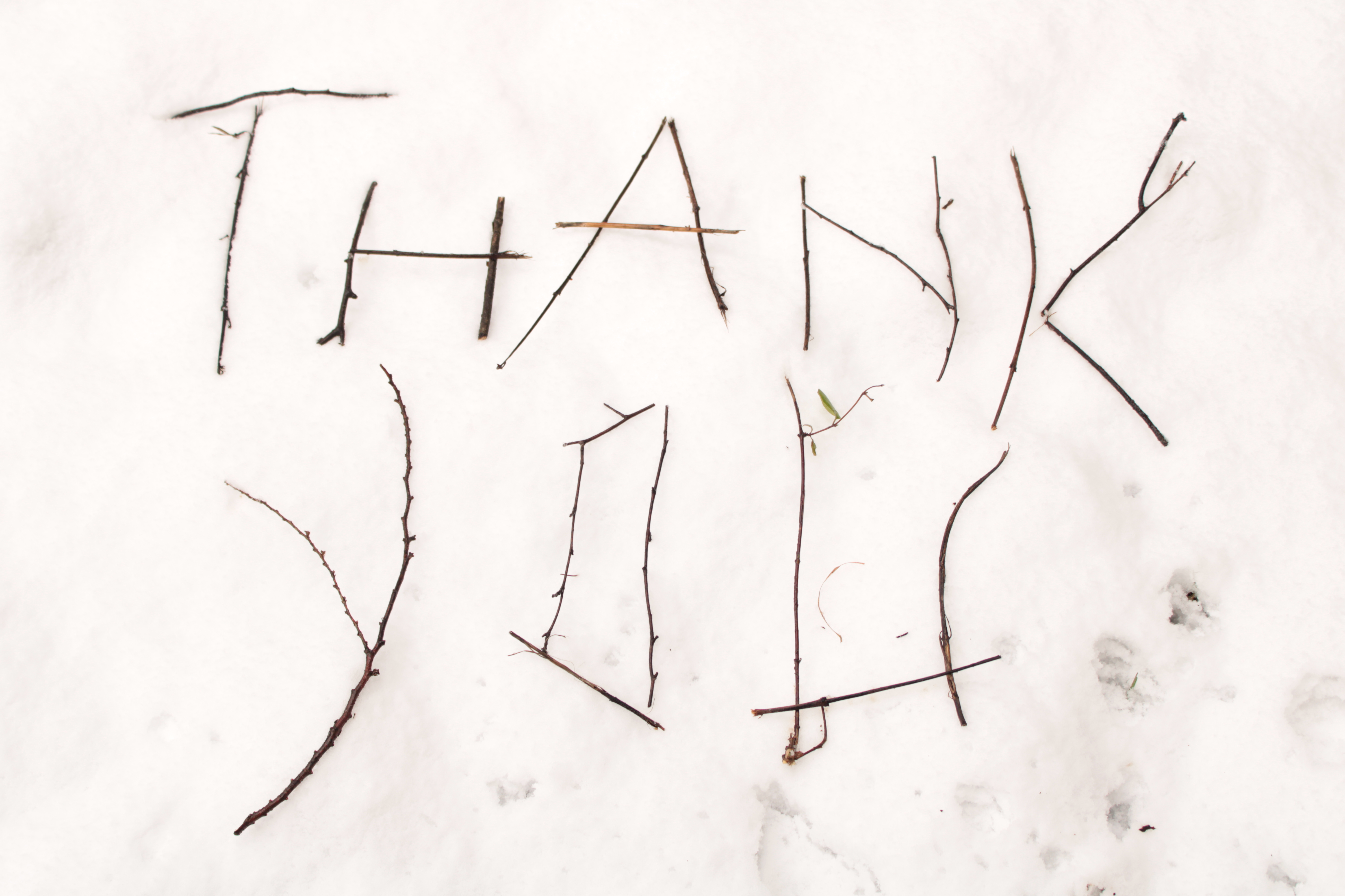 世界上的树木丨Sylvie D.-299