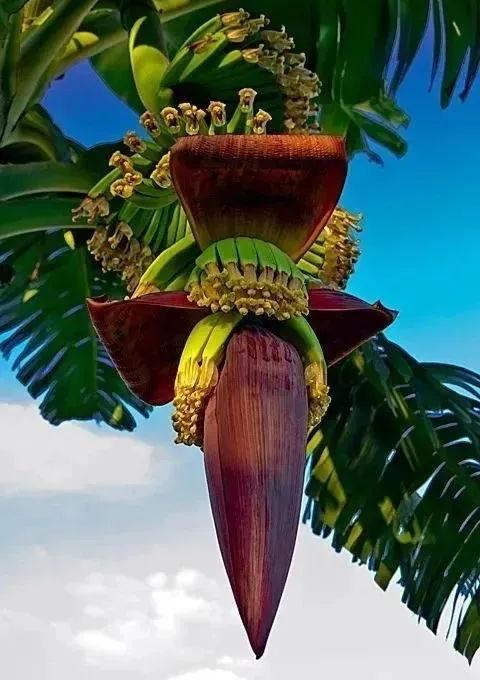 海口华润时光里样板房丨中国海口丨π SQUARED²派平方设计-28