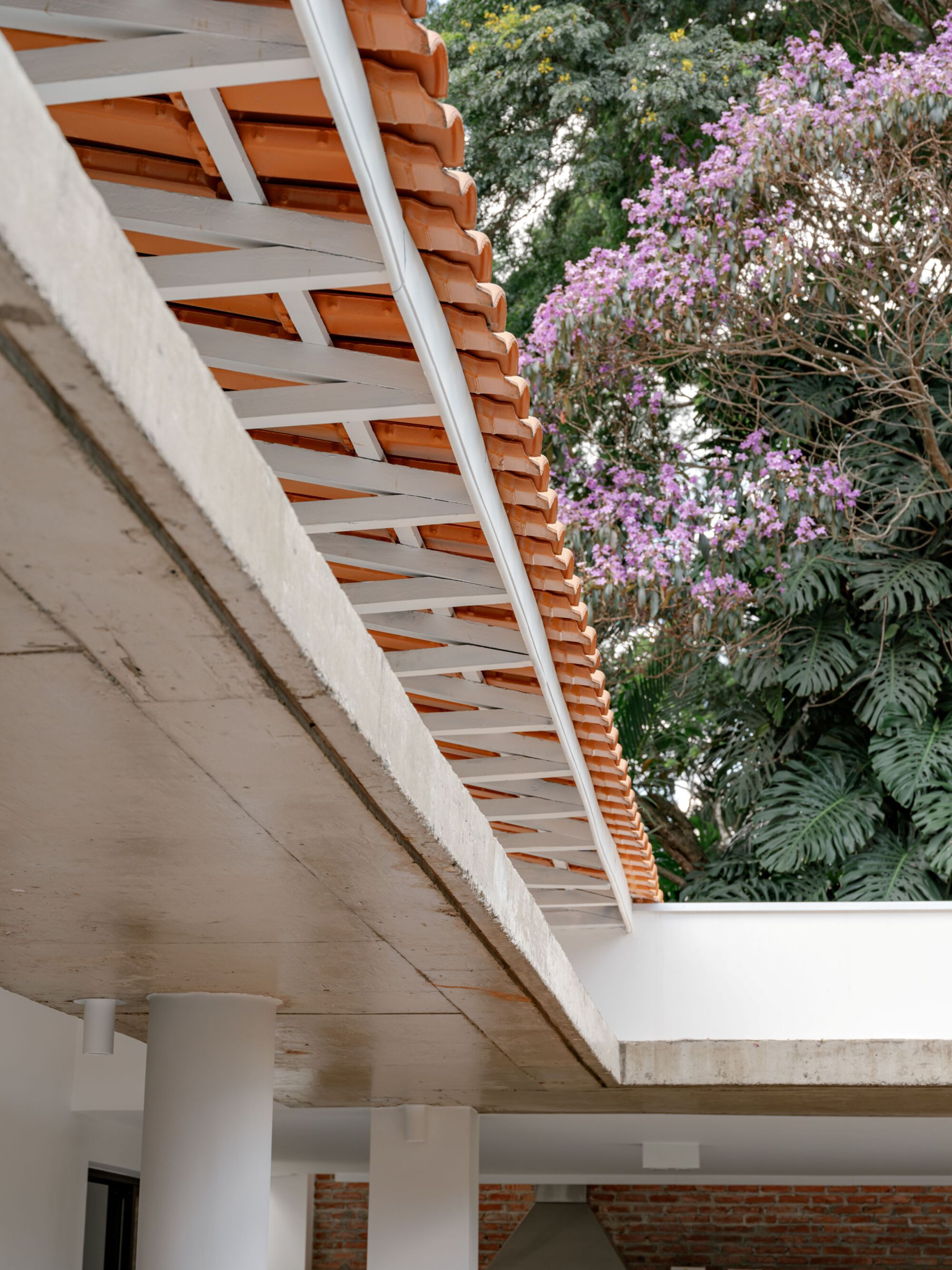 丨巴西圣保罗丨Guelo Nunes Arquitetura-32