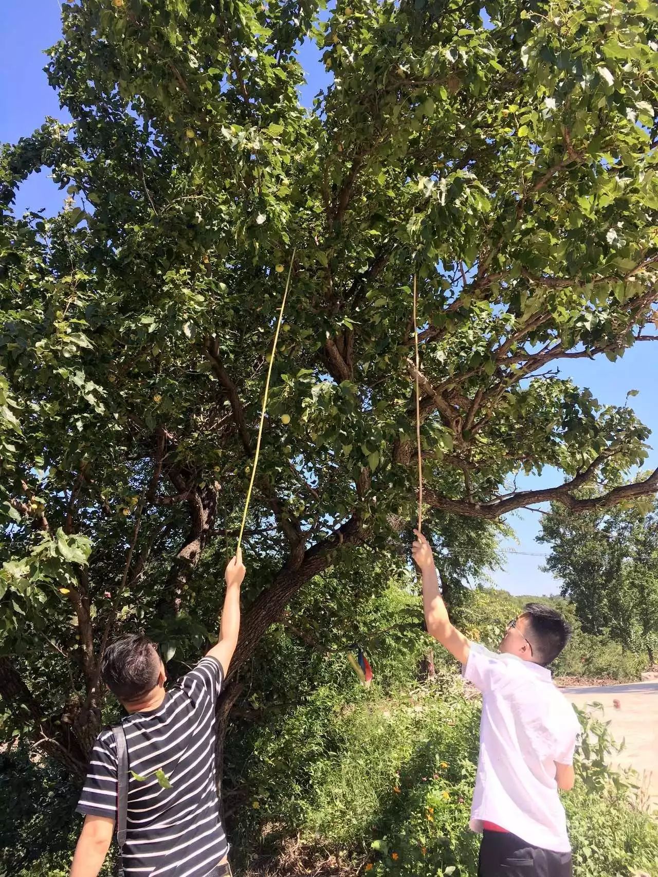 北京城外竟然有这样美如画的民宿，引明星乔杉来小住不说，日接待参访客人最高达到80多人-76