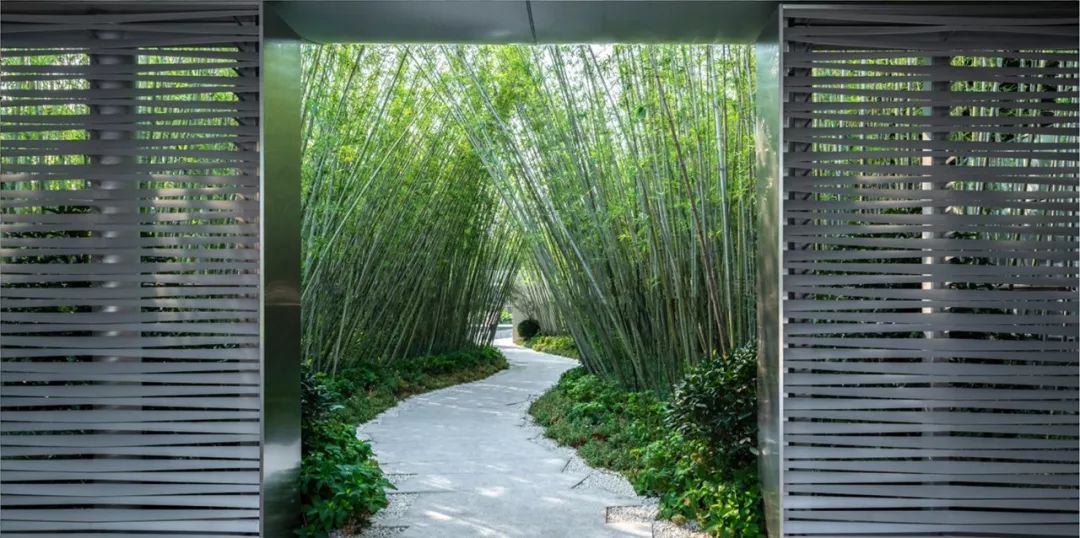 林间三境 | 昆山万科瑧望-34