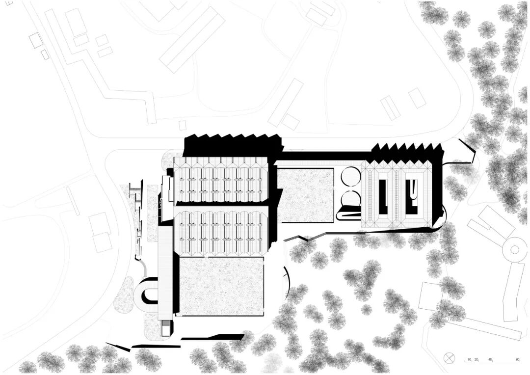 TH作品|木构新境：深圳光明国际马术中心-59