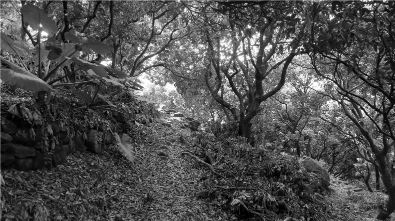 益力矿泉水厂更新策略研究丨中国深圳丨有方-36