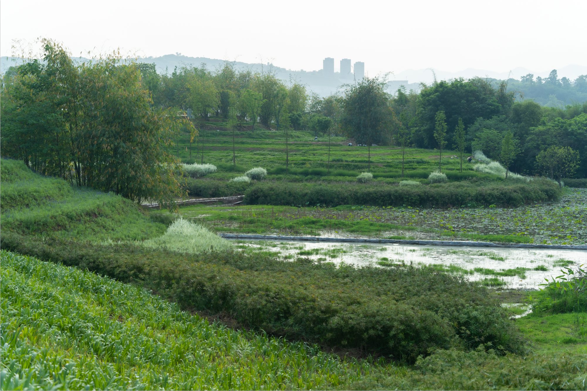 重庆华侨城滨江休闲带丨中国重庆丨WTD纬图设计-51