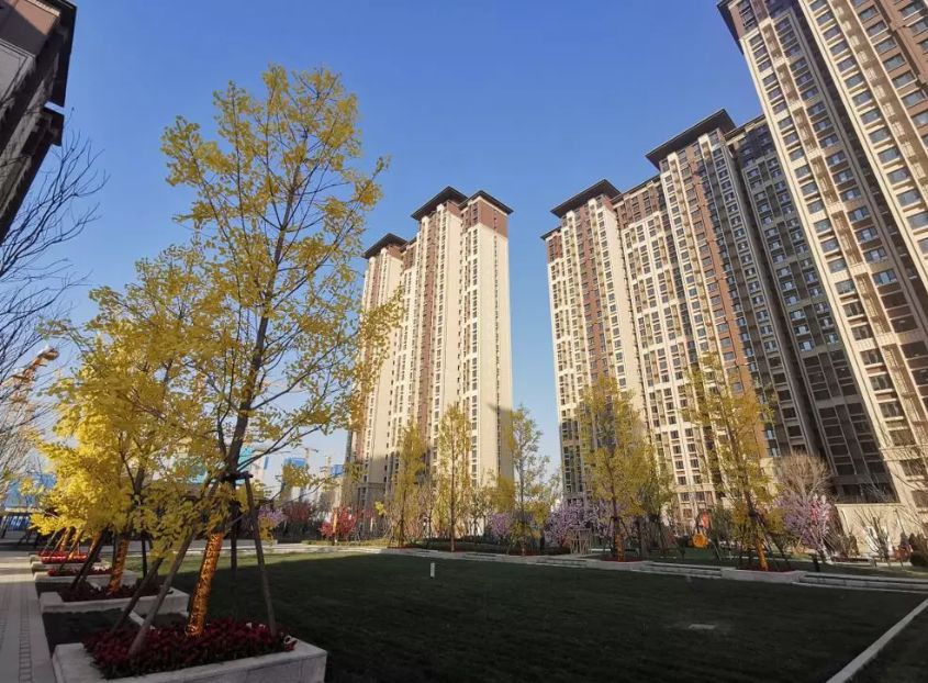 老街坊们，回家啦！-49