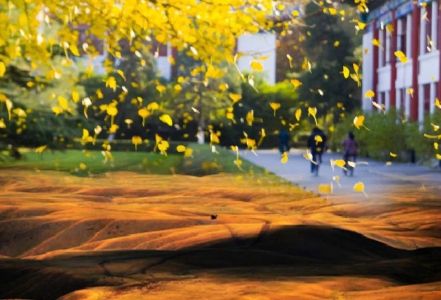 "生态科技"办公空间,演绎现代简约之美-13