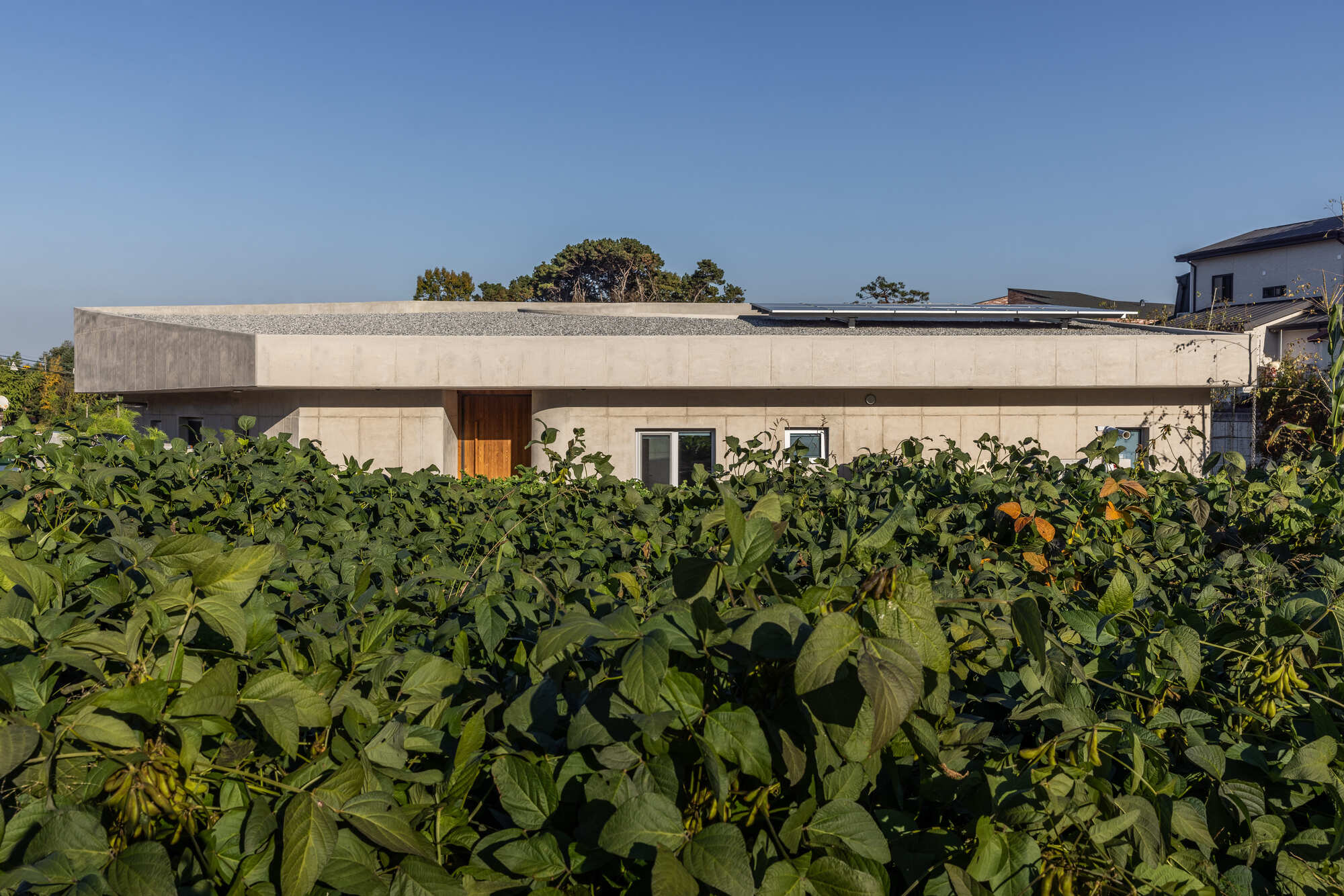 索索旺公寓丨韩国利川市丨mlt architects-22