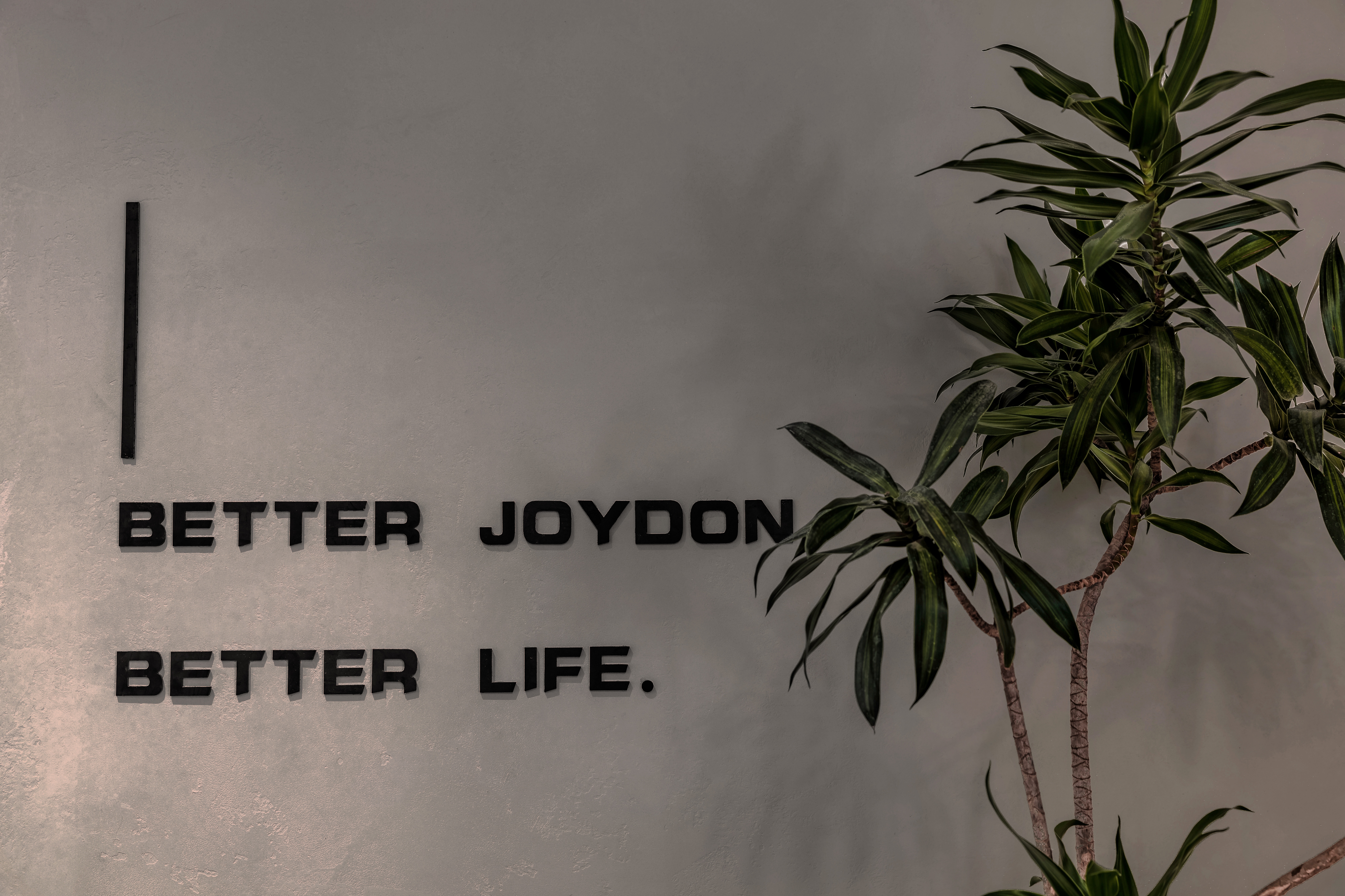 太原正典系统门窗品牌店丨中国太原丨ZAD建筑空间设计工作室-3