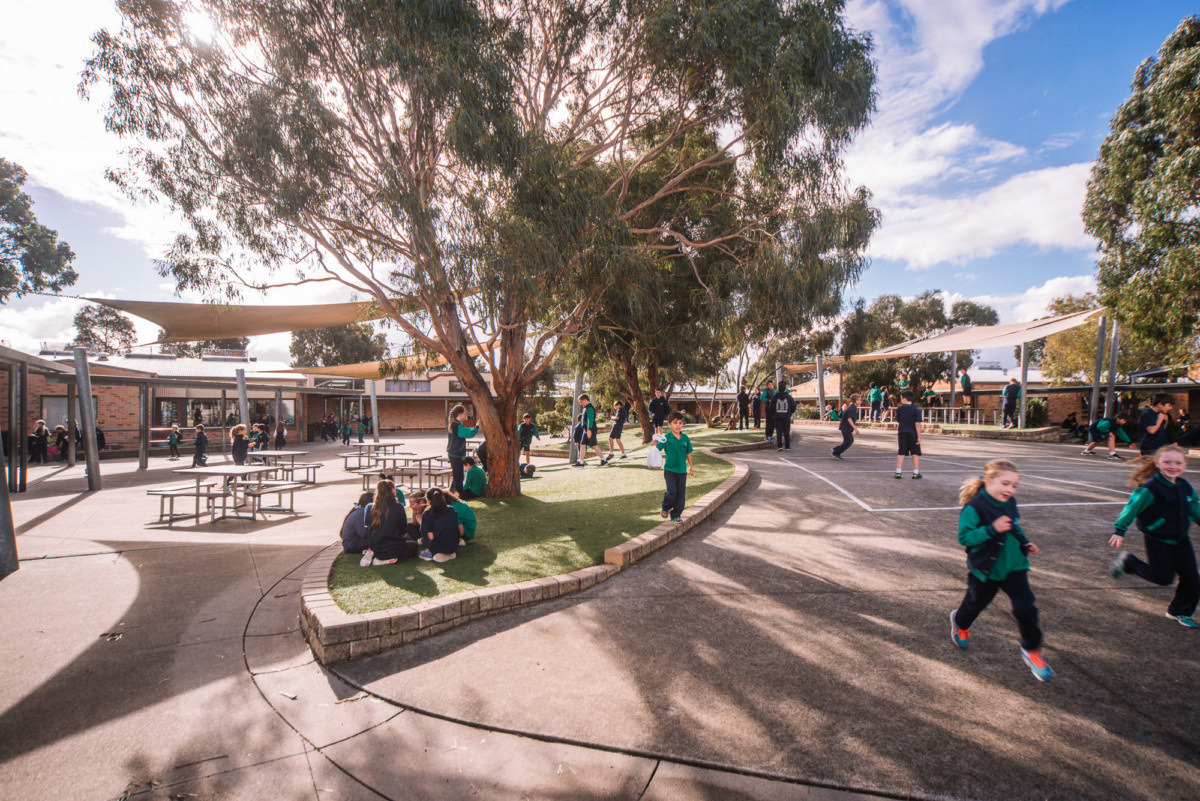 墨尔本小学“田园”学习空间,寓教于乐的灵动设计-19