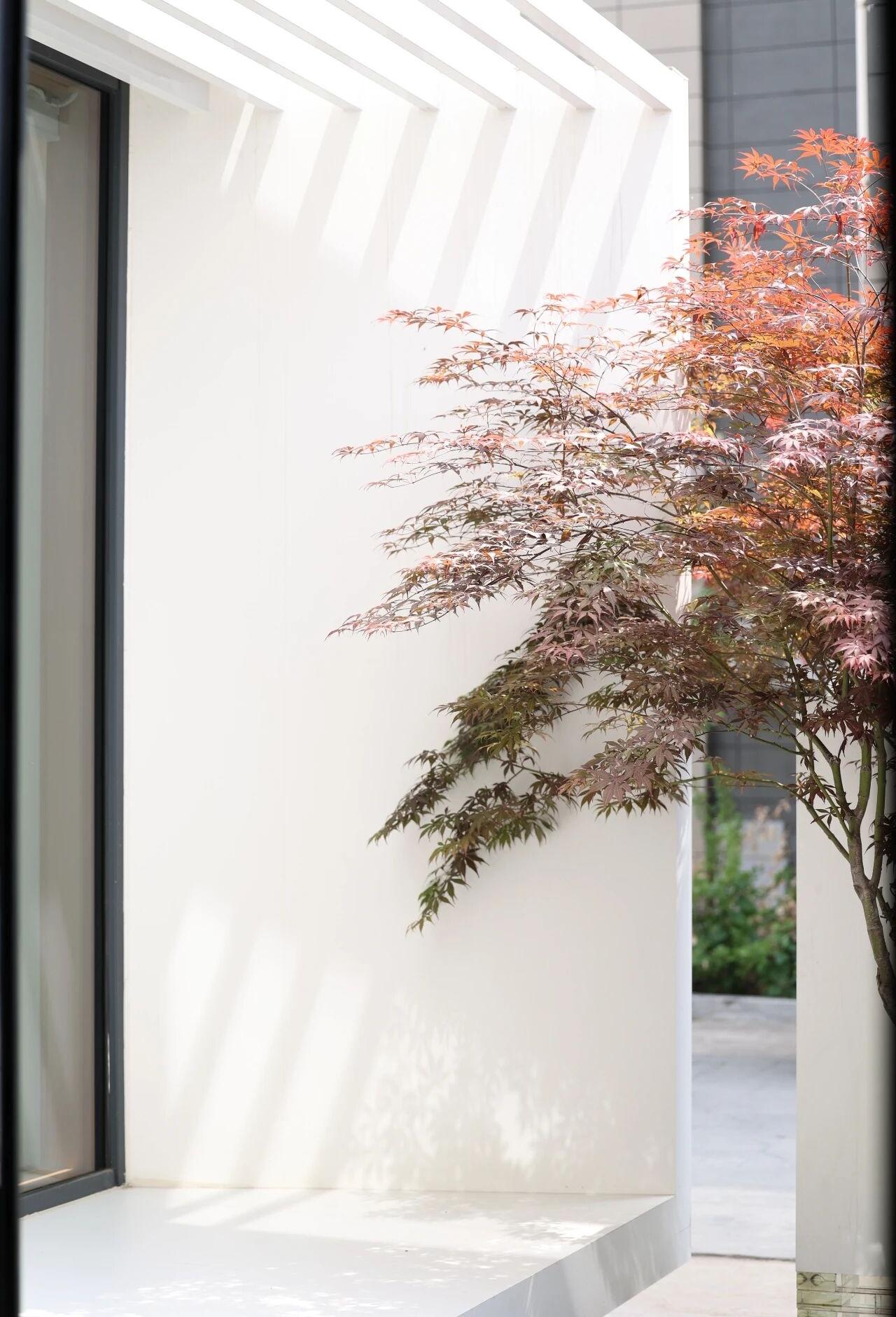 加拿大HV生态空调唐山展厅丨中国唐山丨大石吉吉 吴川文,刘远亮-7