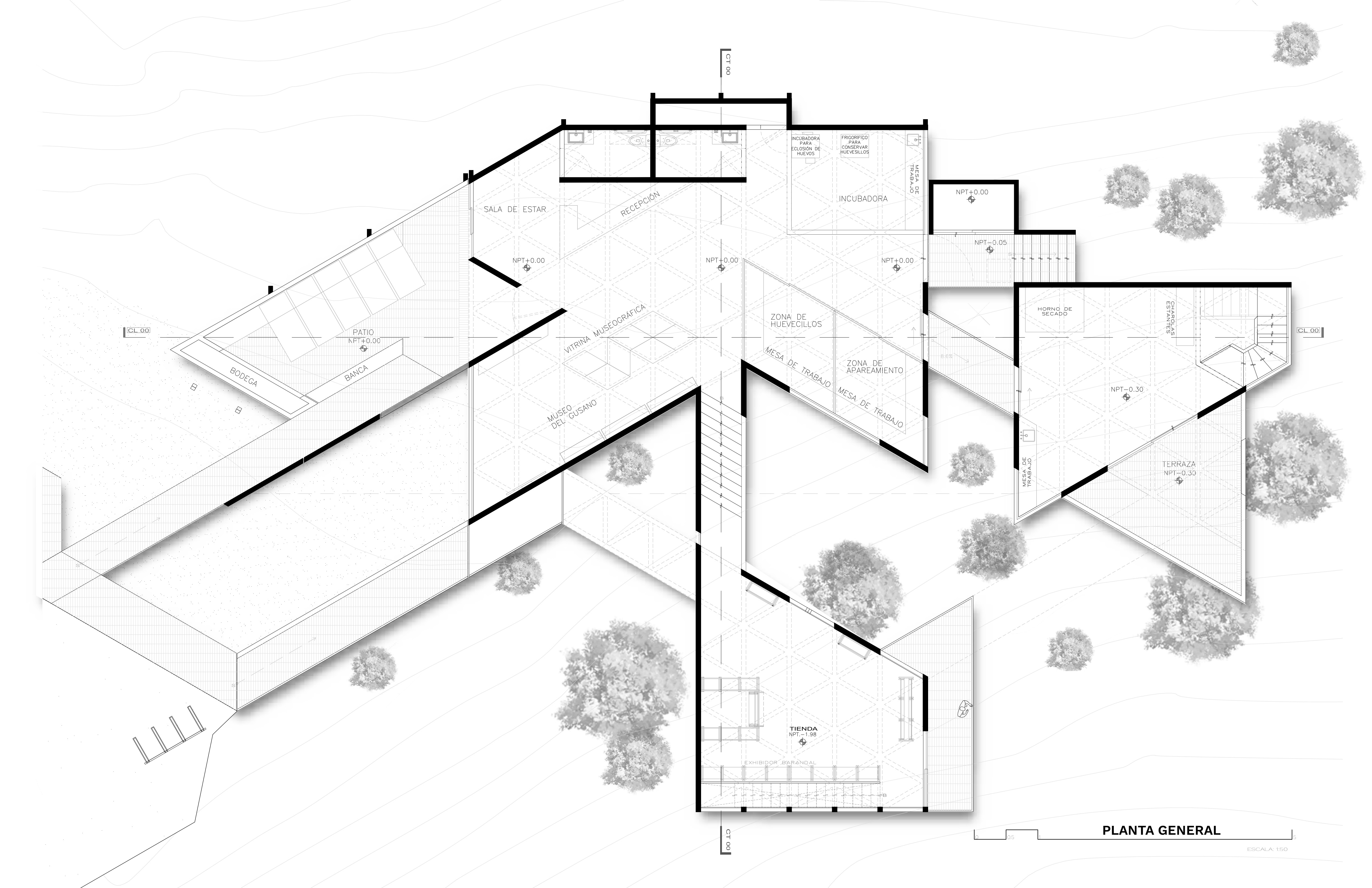 蚕茧庇护所丨墨西哥丨LAMZ Arquitectura-49