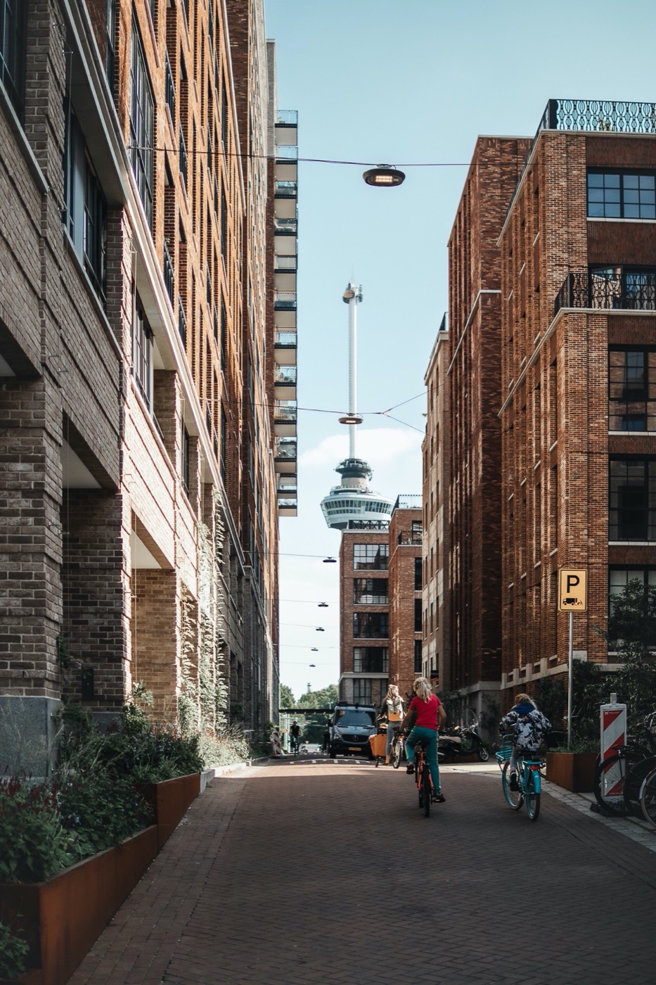 绿意盎然的小 C · Rotterdam 城市新地标丨荷兰鹿特丹-10