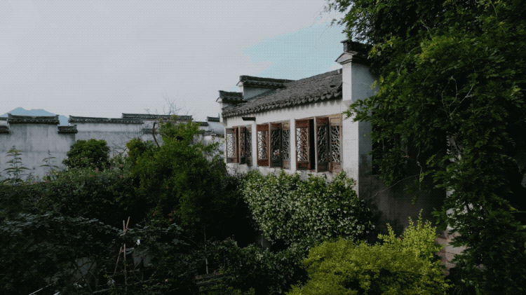 回声花园 · IT 夫妇的乡野生活丨中国黄山丨红子,小可夫妇-30