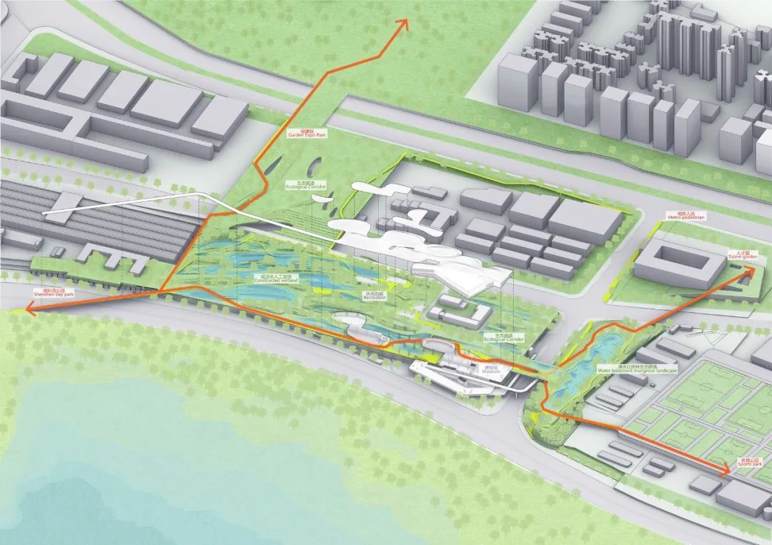 深圳红树林湿地博物馆丨中国深圳丨URBANUS都市实践+中国城市建设研究院无界景观工作室-31