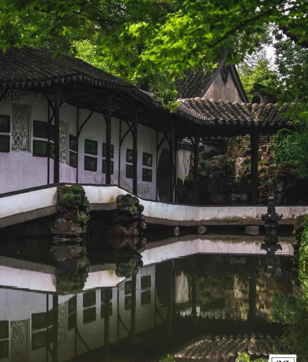 拙政园-37