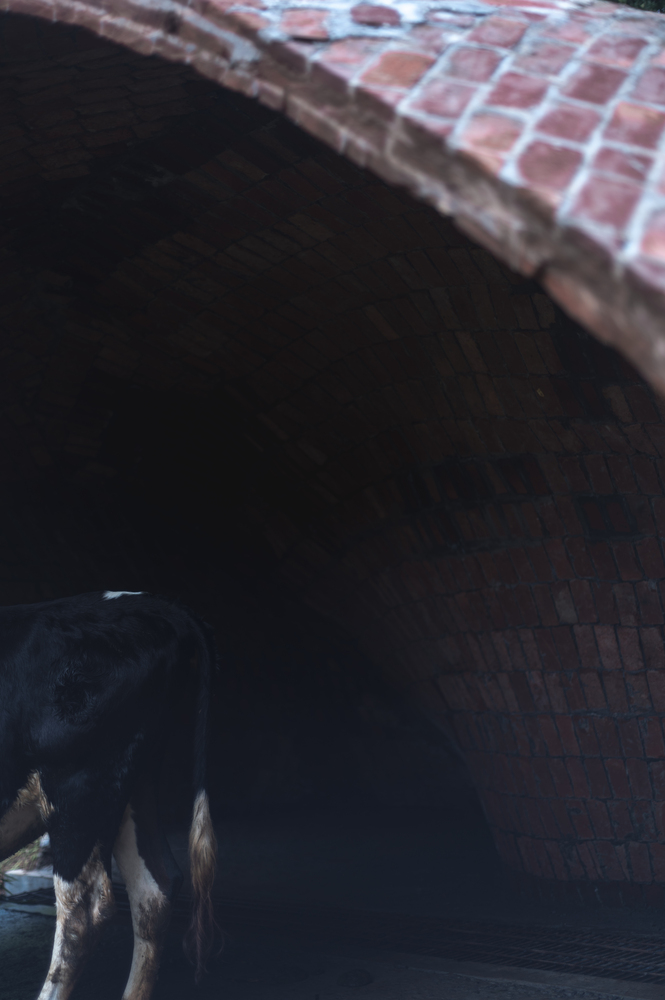 印度 Peermade 的 Haven 永恒体验馆丨Rnd Earth-29