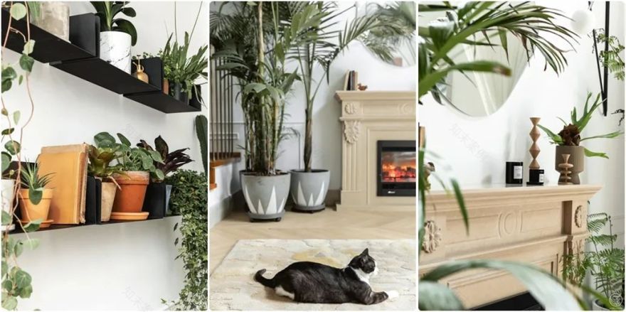 温江别墅 | 自然艺术生活的现代演绎-1