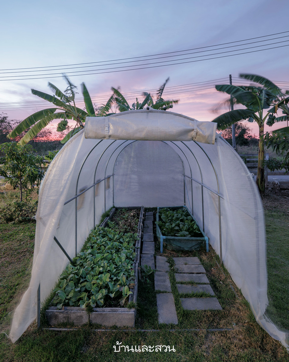 บ้านฟาร์มหลังเกษียณ ที่กลายเป็นโฮมสเตย์ ปลูกผักกินเอง - บ้านและสวน-20