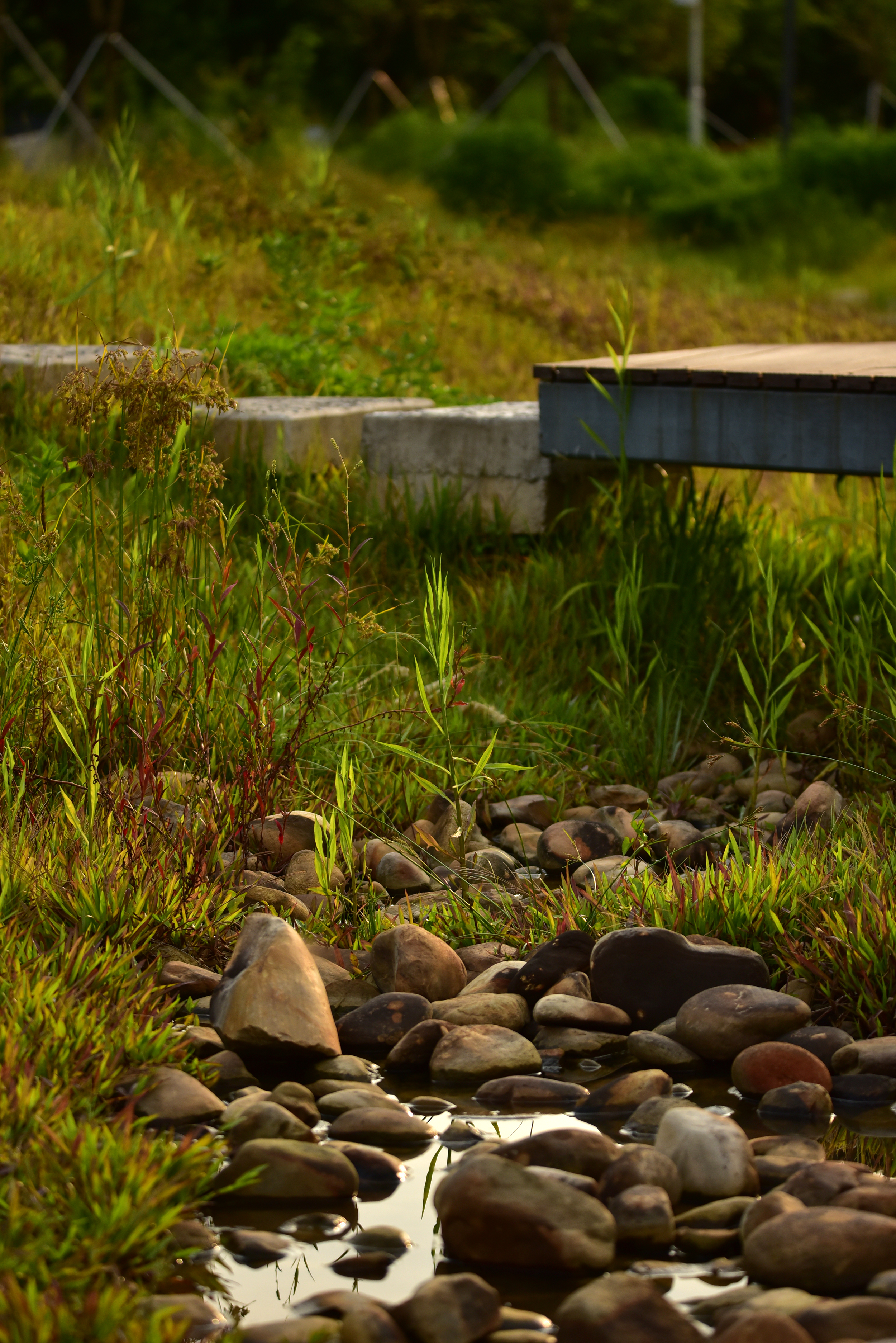 深圳光明虹桥1958生态公园丨中国深圳丨深圳自组空间,深圳市建筑科学研究院股份有限公司-59