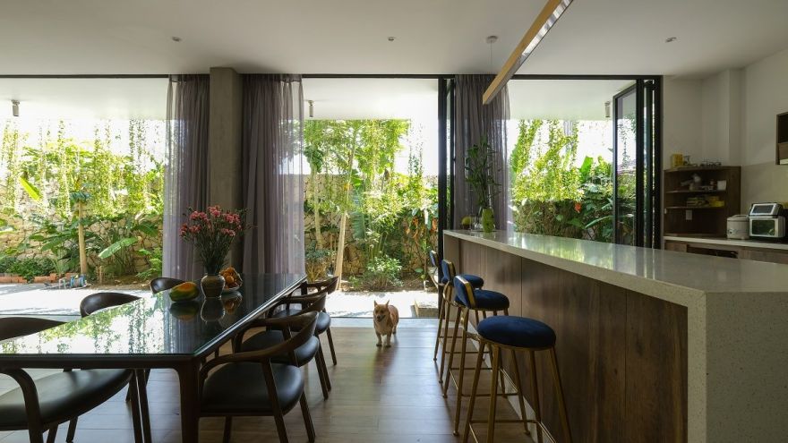 绿意盎然的城市家园-24