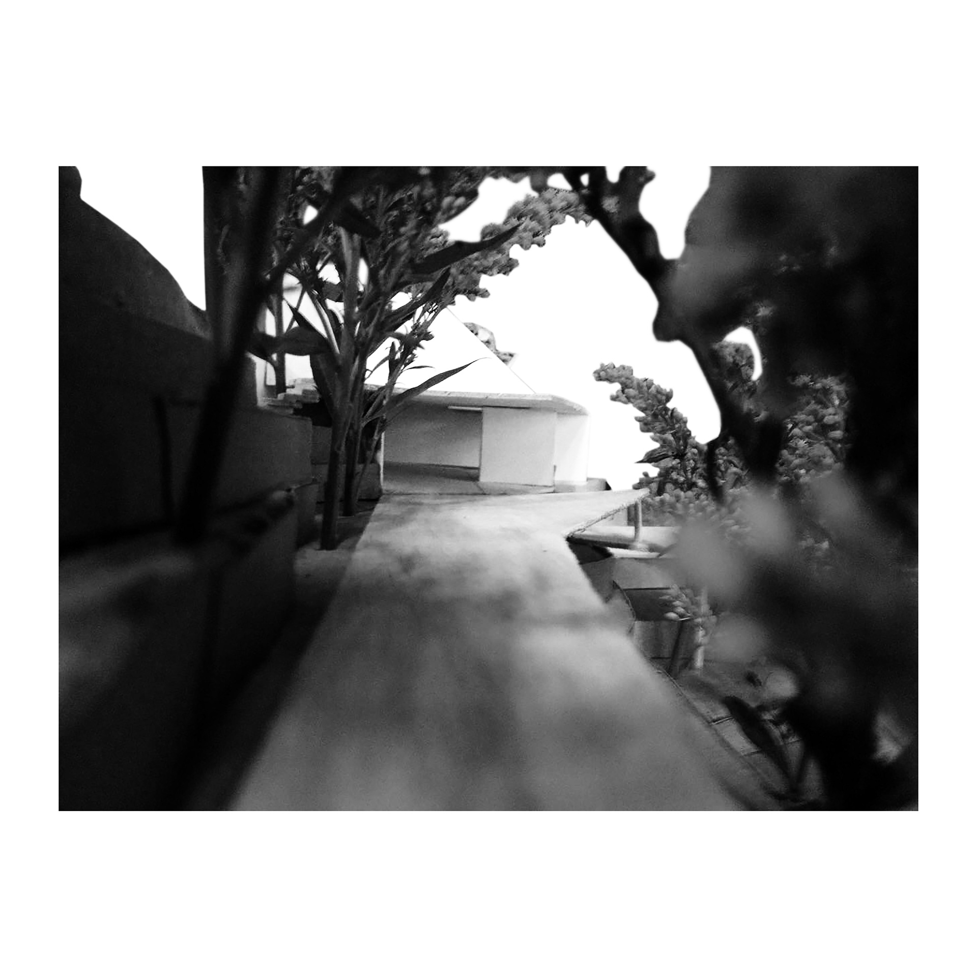 自由空间丨哥伦比亚-17