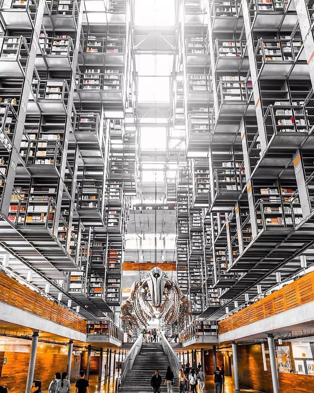 全球「最美图书馆」大赏 | 书香宁静，自然美好-40