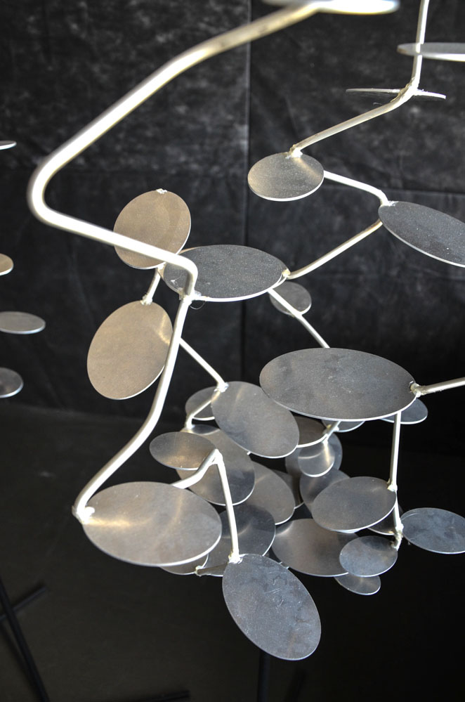 Biota | David Friml-41