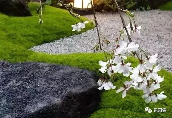 最美不过苔造园,探寻东方庭院的诗意之美-12