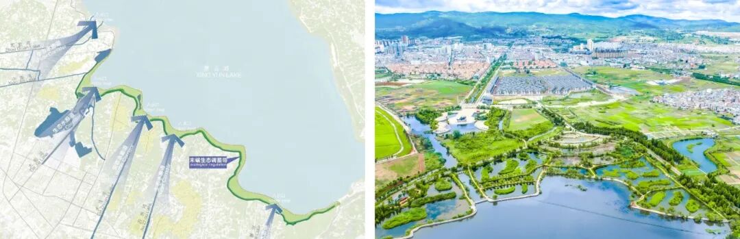 红线守护碧波漾重塑湖滨呼吸之美——星云湖南岸湿地、湖滨带提质改造工程-17