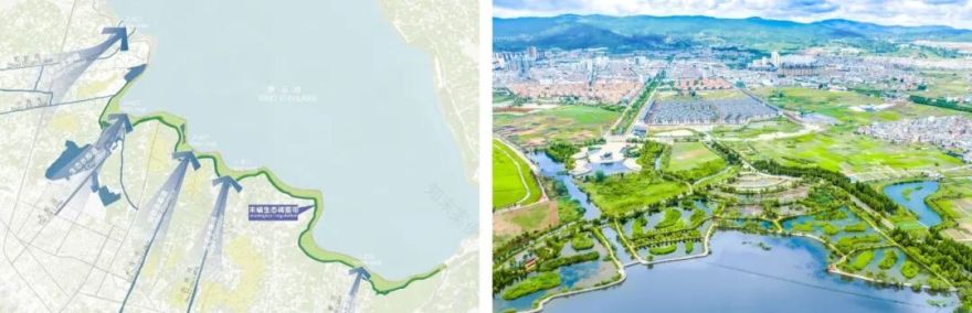 红线守护碧波漾重塑湖滨呼吸之美——星云湖南岸湿地、湖滨带提质改造工程-17