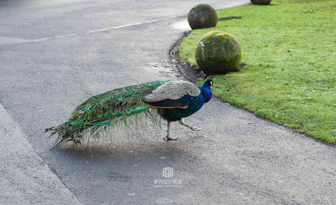 苏格兰爱丁堡庄园酒店-73