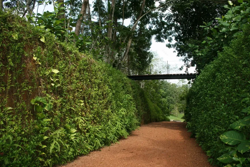 斯里兰卡“荆棘”庄园-37