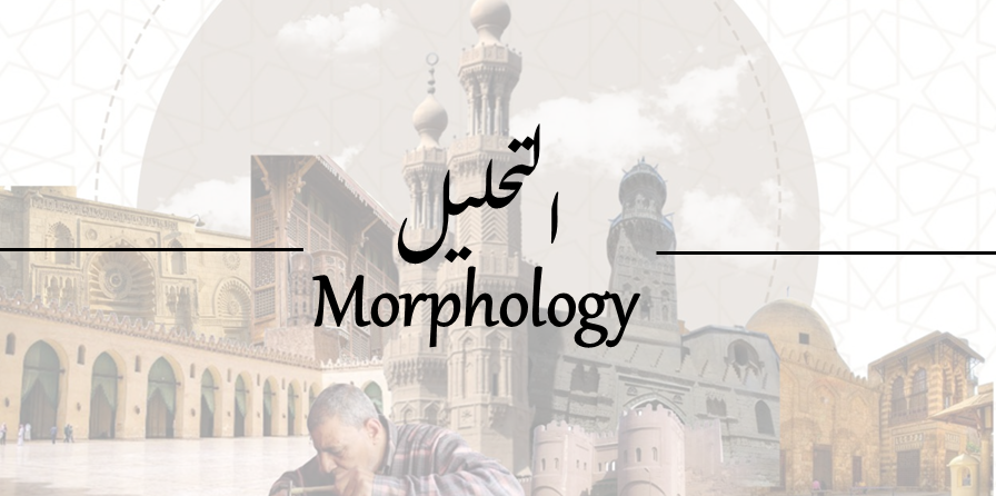 تَجَلِّ | مشروع تطوير شارع المعز-9