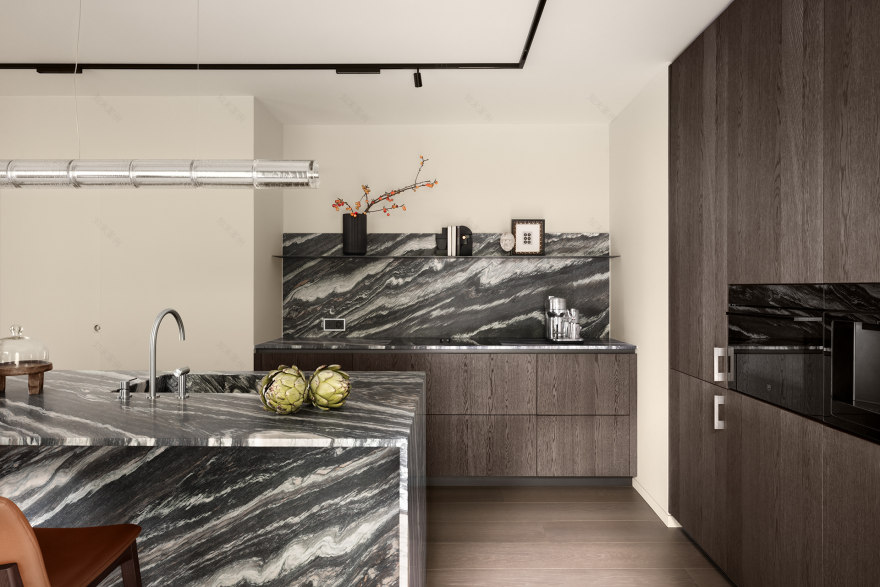 科洛尼别墅丨瑞士丨Bogdanova Architects-30