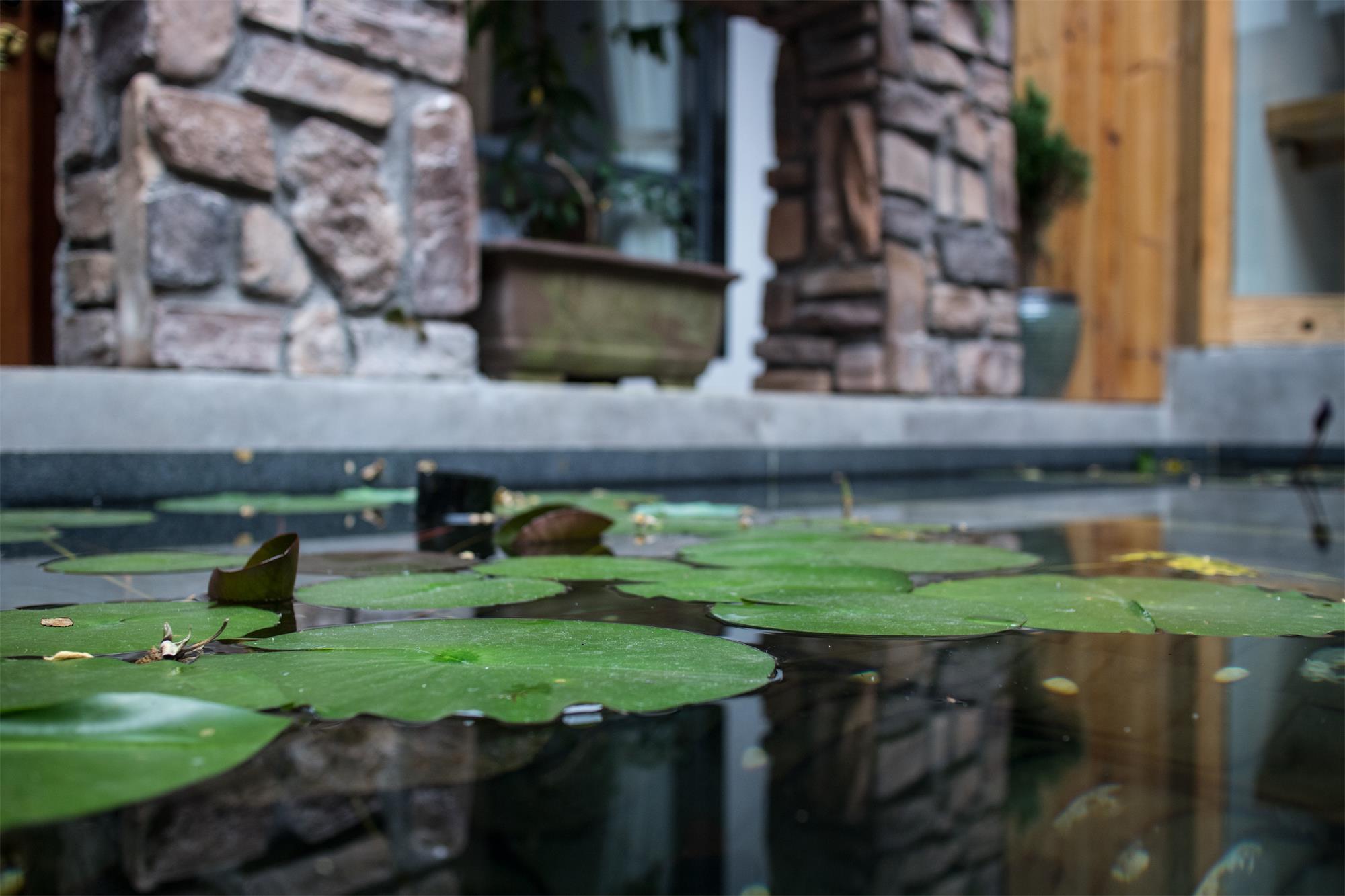 黄山月栖溪精品民宿酒店丨贡德设计,行思(香港)设计-25